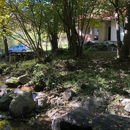 Vila Idila Crni Vrh Экстерьер фото