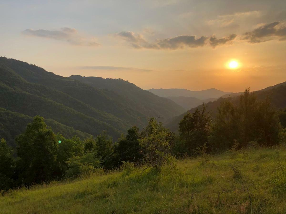 Vila Idila Crni Vrh Экстерьер фото